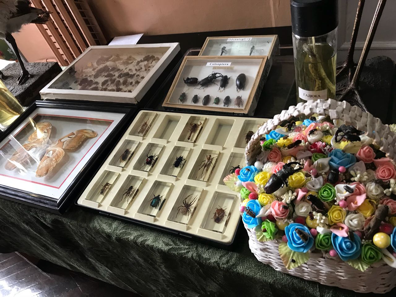 День відкритих дверей