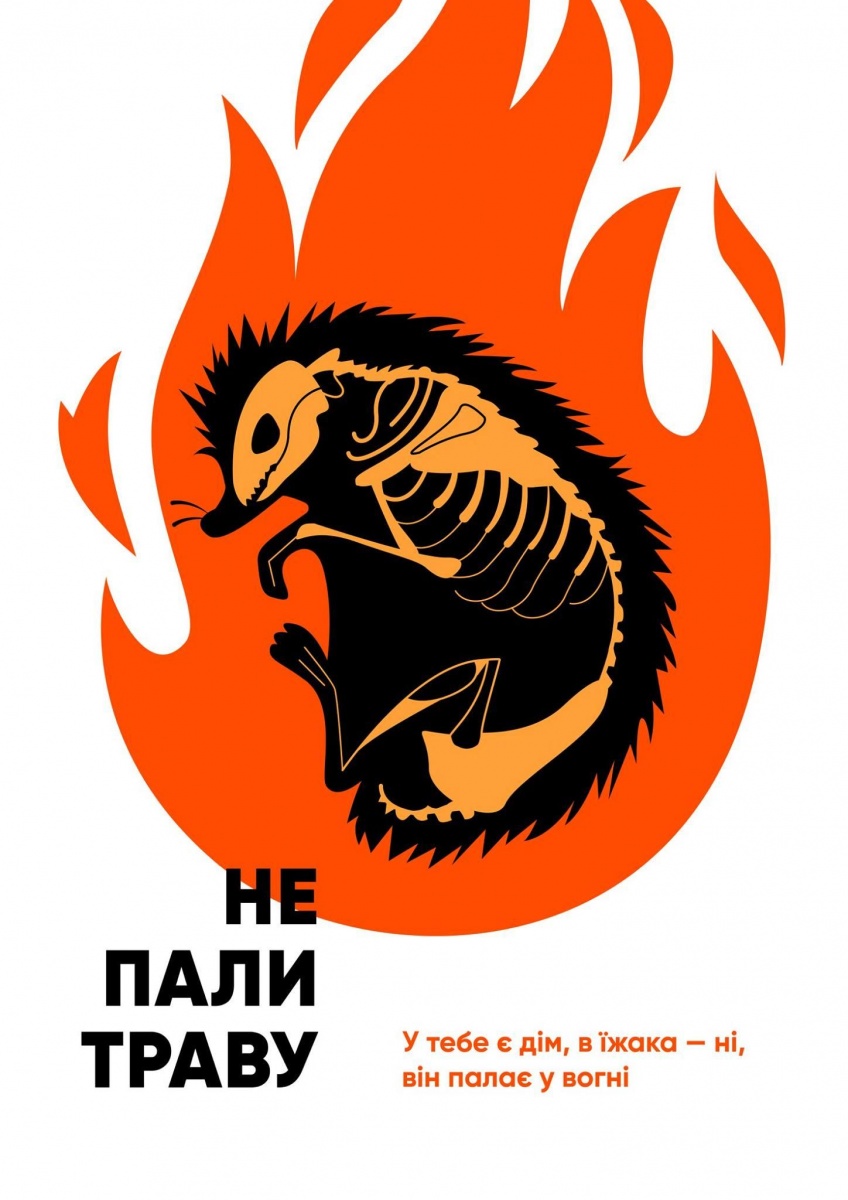 Вивчення «Зоології» може бути різним!